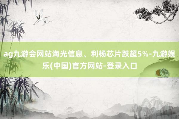 ag九游会网站海光信息、利杨芯片跌超5%-九游娱乐(中国)官方网站-登录入口